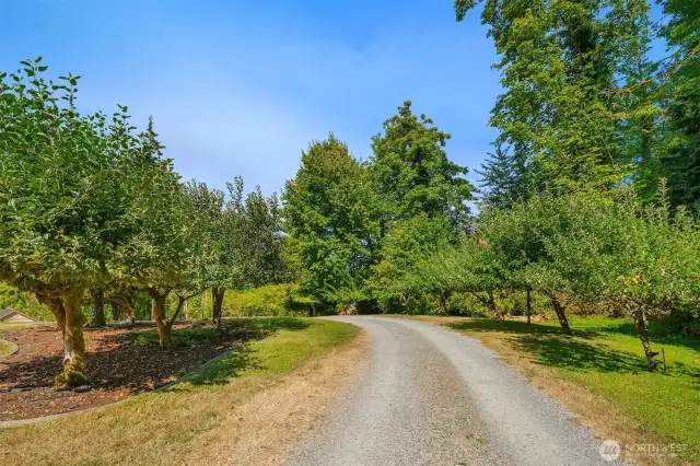 Private drive leads you to your 1.3 acre with orchard, waterfront and a remarkable home.
