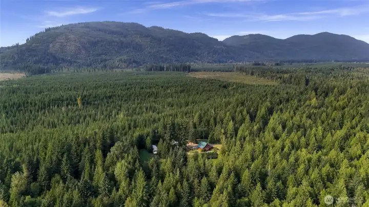 Perfect blend of trees and countryside gives you peace and quietness.