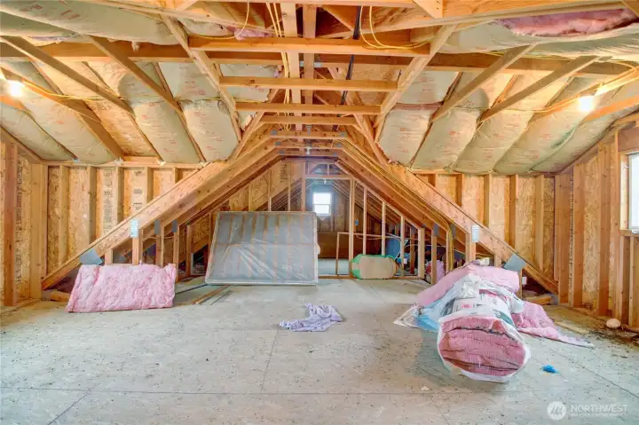 Unfinished Bonus Area