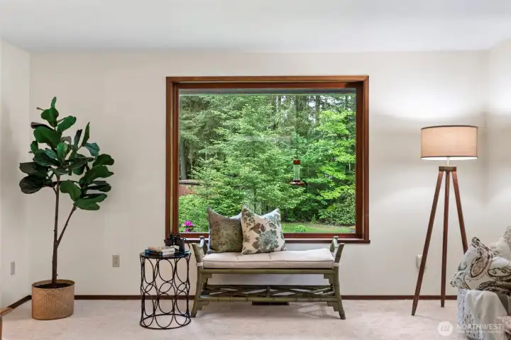 Beauty from every window