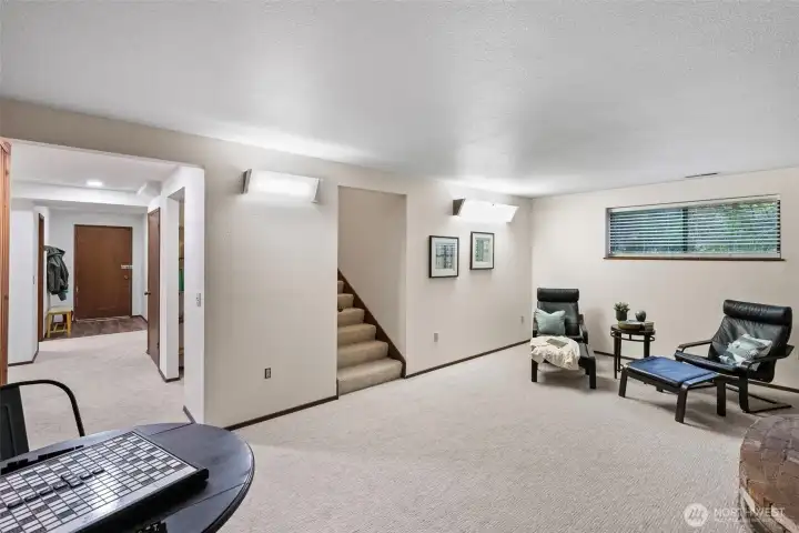 Large Family room in finished basement