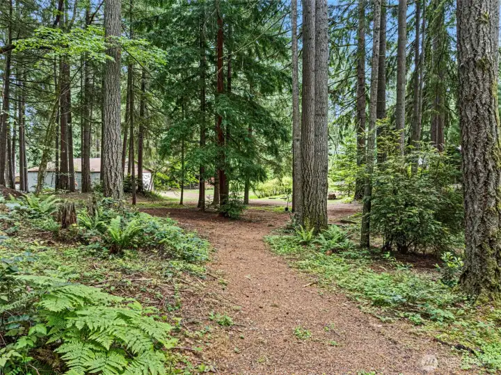 Trails go thru the entire property