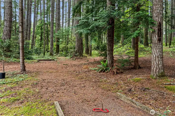 Trails go thru the entire property