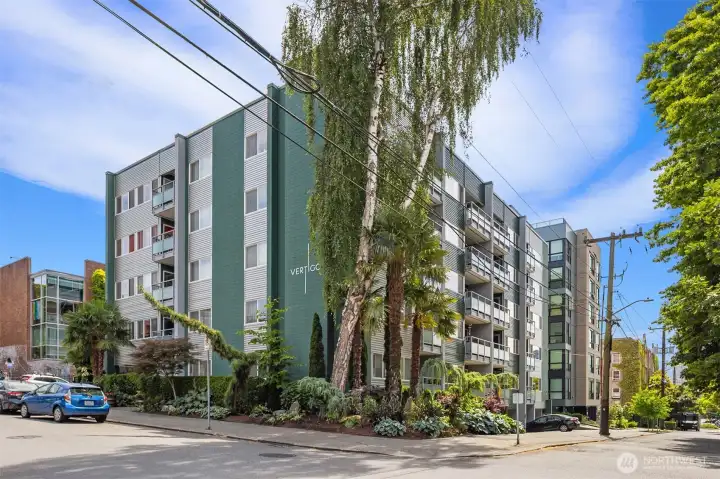 Mid-Century Vibes in perfect Urban location.