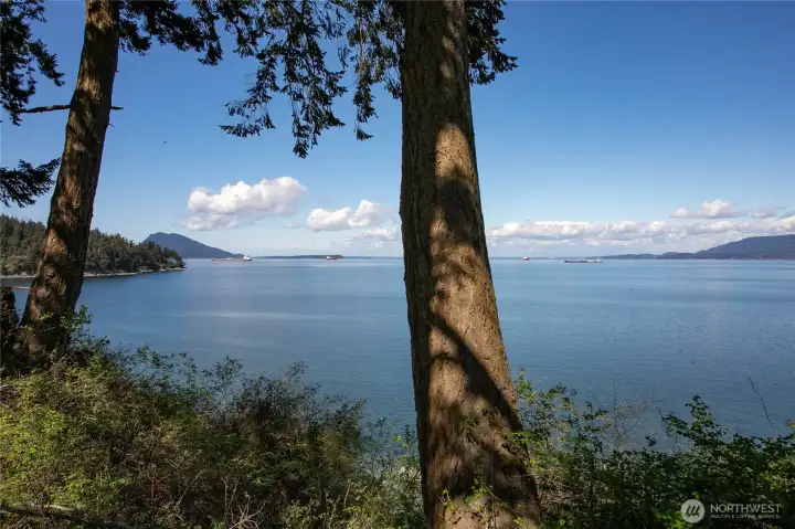 Bay view from back yard