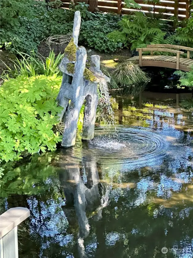 pond and fountain in back yard