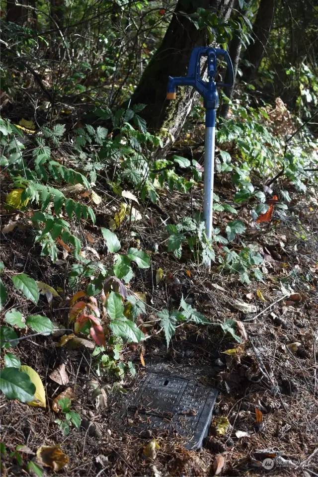 Water meter and water on lot