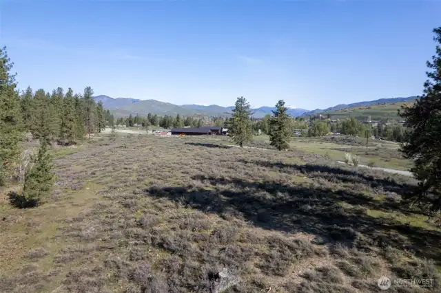 29 acres of varied terrain, trees and opportunity.