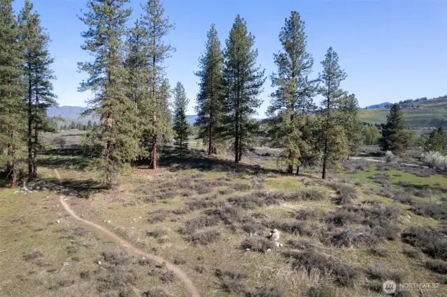 Recreation out your front door with Methow Trails.