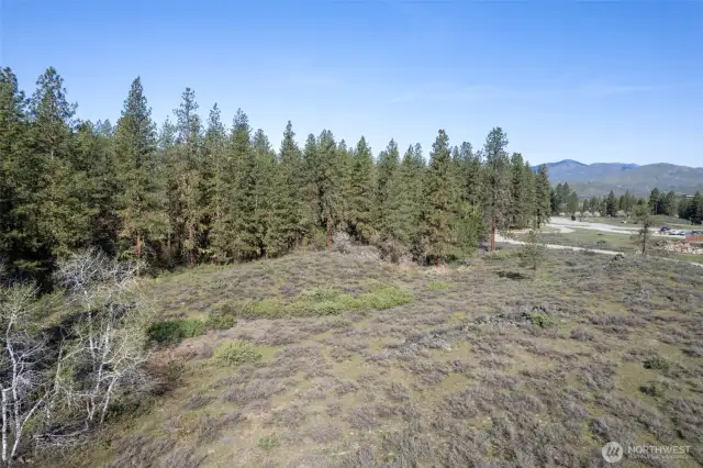 29 acres of varied terrain, trees and opportunity.