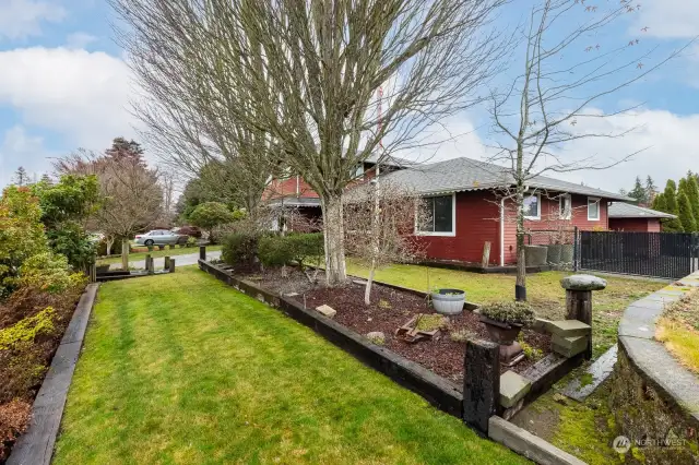 Front Yard Lower Terrace