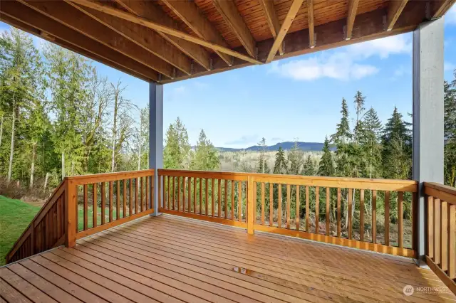 daylight basement deck