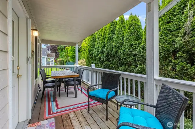 Back porch - entrance off the living room