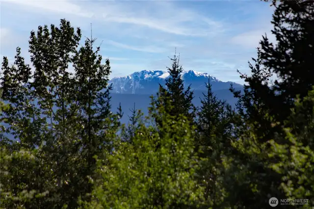 Mountain views from primary bedroom
