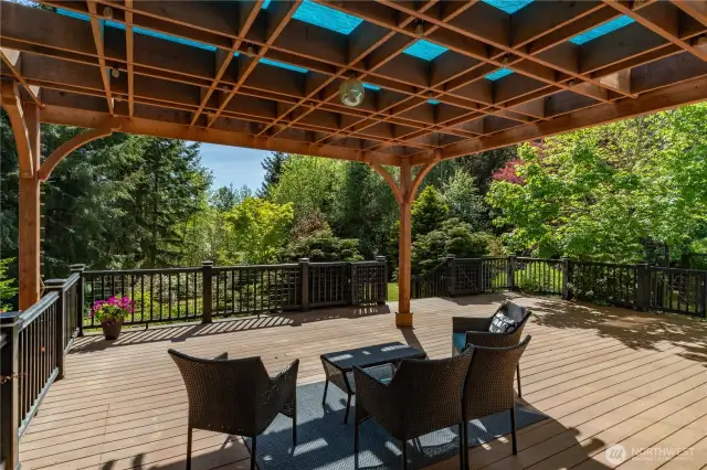 TimberTech deck with dimmable party lights, great for entertaining.
