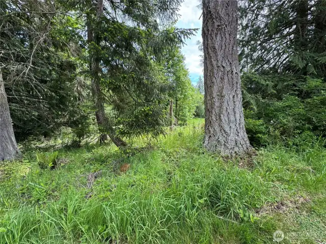 Corner Lot  with greenbelt bordering Walker.  Sewer Assessment Paid!  Late comer fee due when you build. water $500 hook up