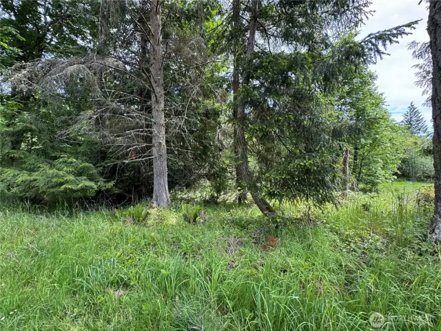 Beautiful Lot slopes down perfect for daylight Rambler