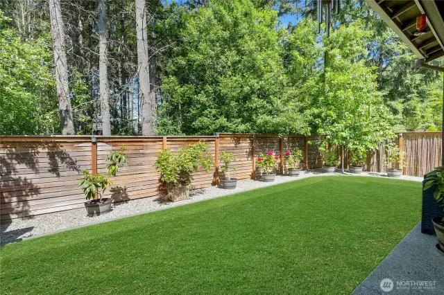 Fully landscaped backyard with turf grass