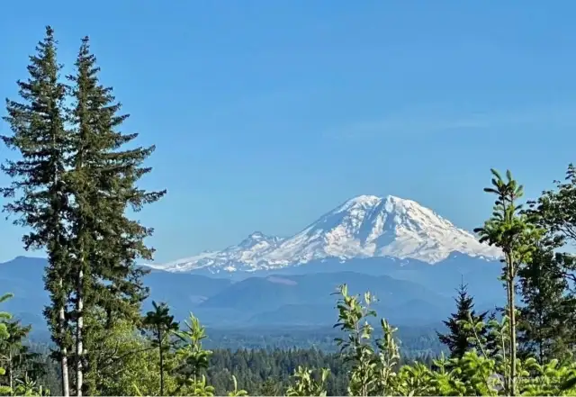Mt Rainier from Tiger Mtn Trail, just a 5 minute walk