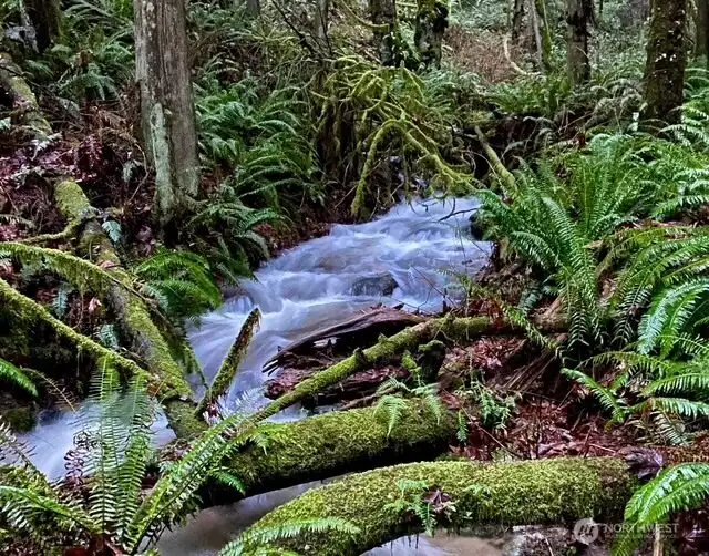 Tiger Mountain Trail is just a five minute walk