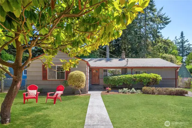 Expansive lawns and gardens on quiet street