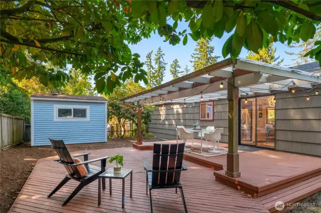 BACK YARD DECK
