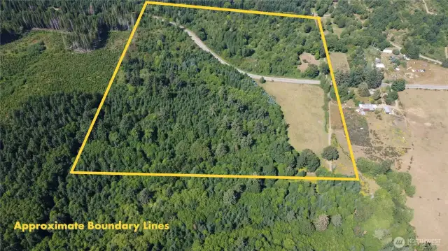 44+/- acres. Looking north.