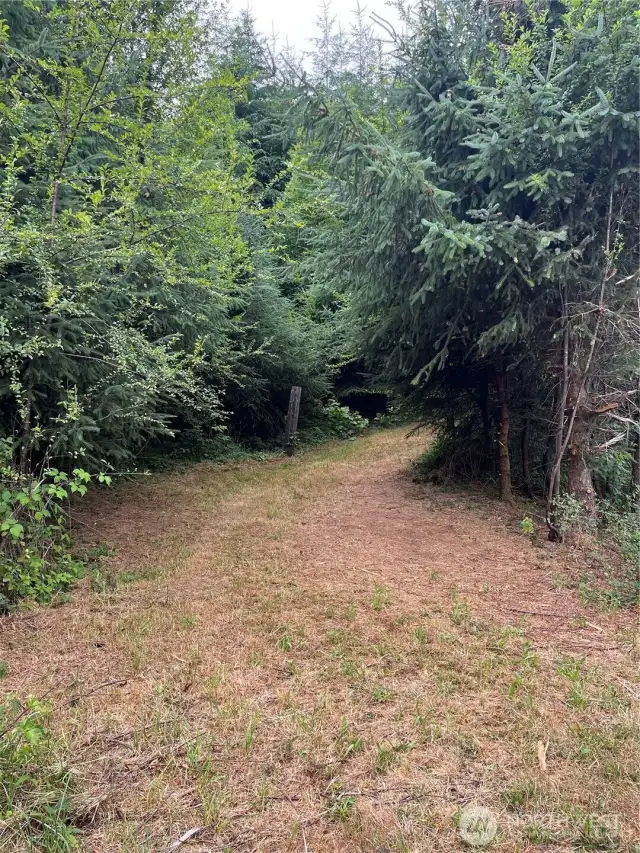 Westerly entrance that climbs the hill to potential home site. Note, when driving this road there is no turnaround.