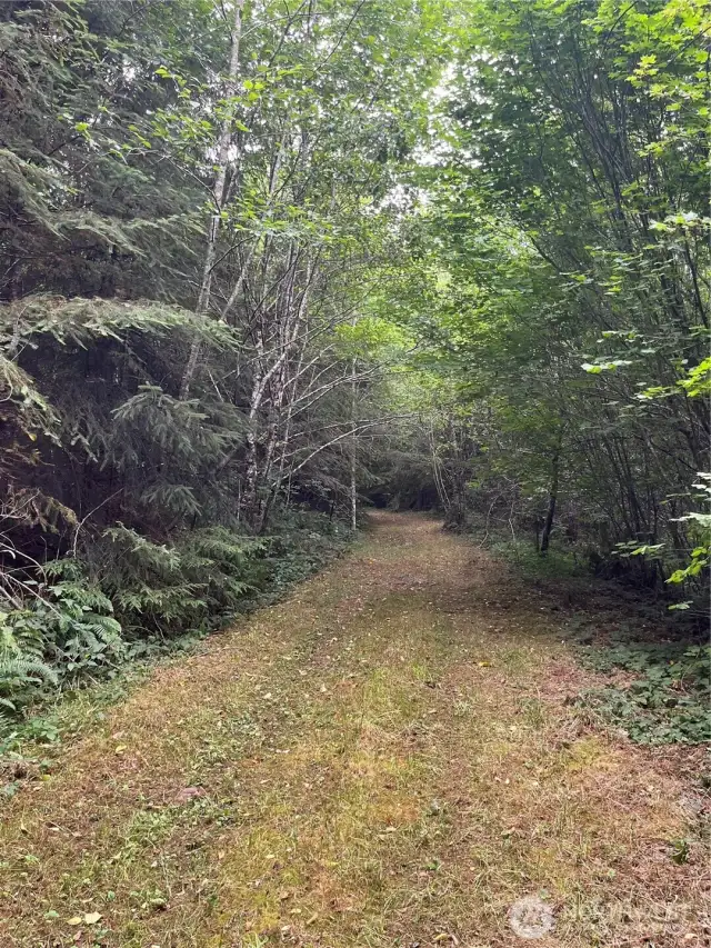 Drive up the hill in south western portion.