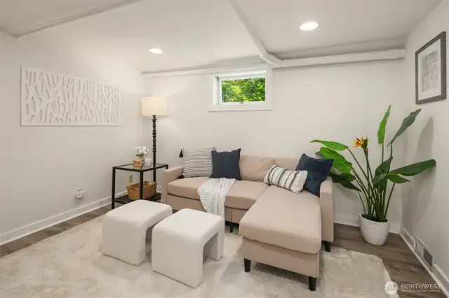 Lower level TV room