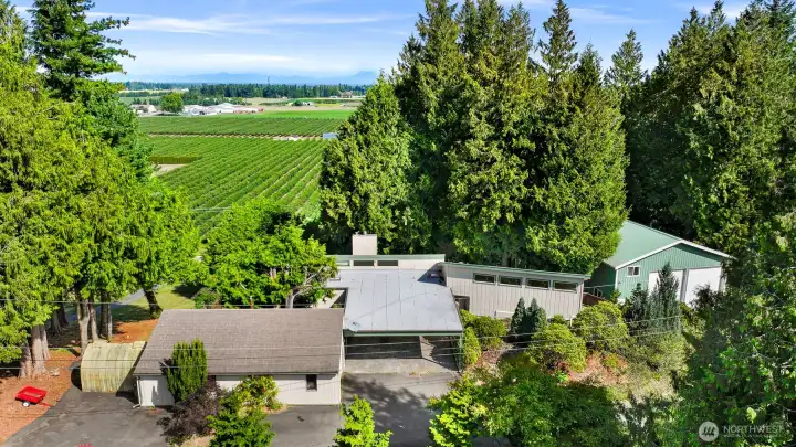 Welcome to your new home! Set high on a hill looking north towards Lynden. 2 story home with detached garage and huge 1200sf shop!