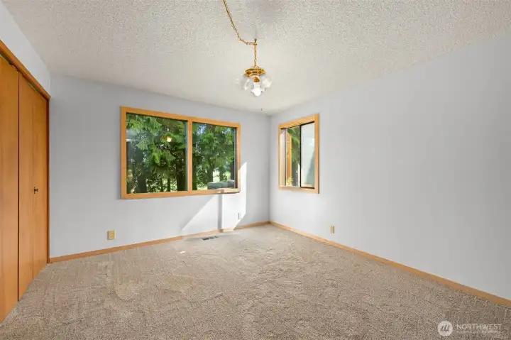 Lower level bedroom.