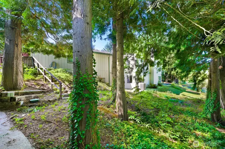 Looking towards the house from the side of the shop. Stairs lead to the patio off of the primary bedroom. Look at all those trees!