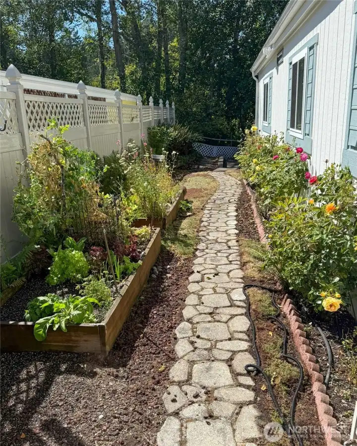 Side path and garden area.