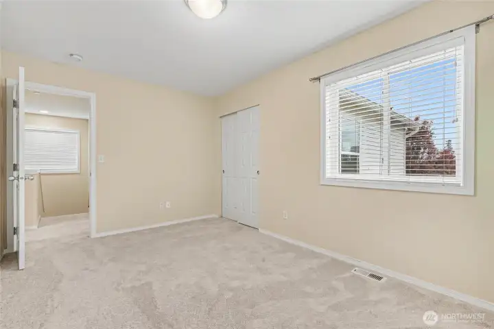 Bedroom 3. Full wood wrapped windows!