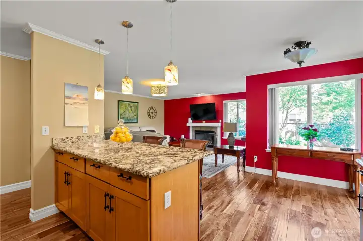 Kitchen island looking into the family room