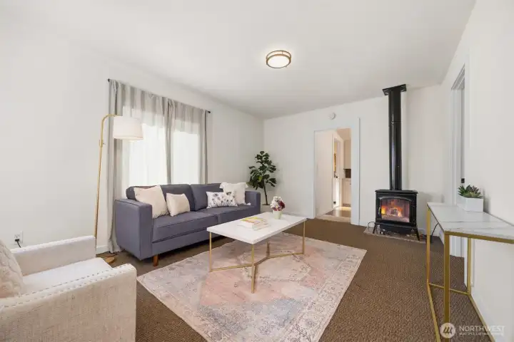 Gas freestanding heater