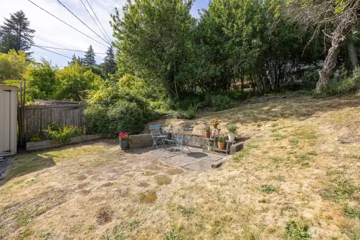 Back yard has a patio
