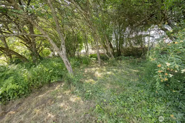 Northern side of the lot