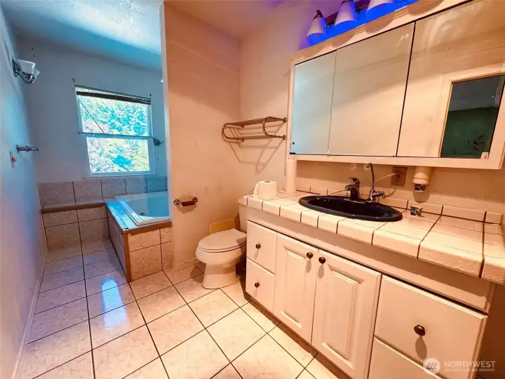 Primary bath with jetted tub