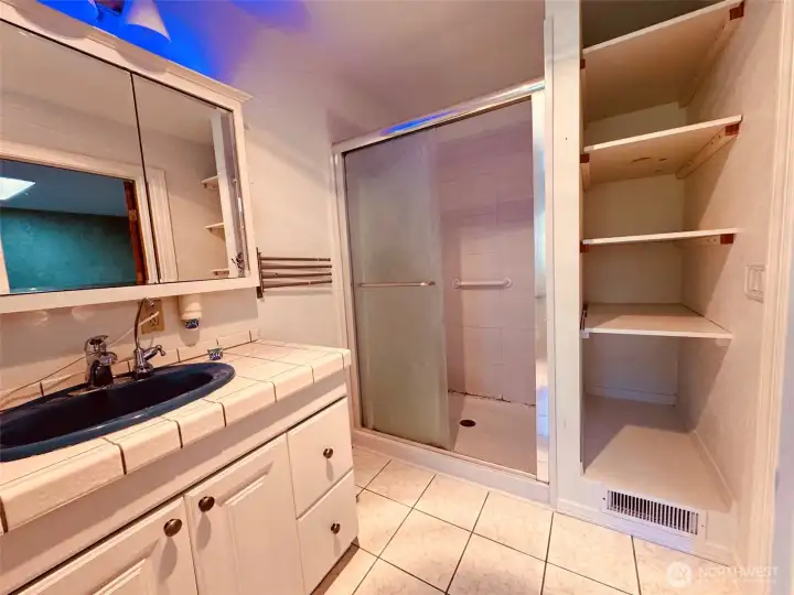 Primary bath shower