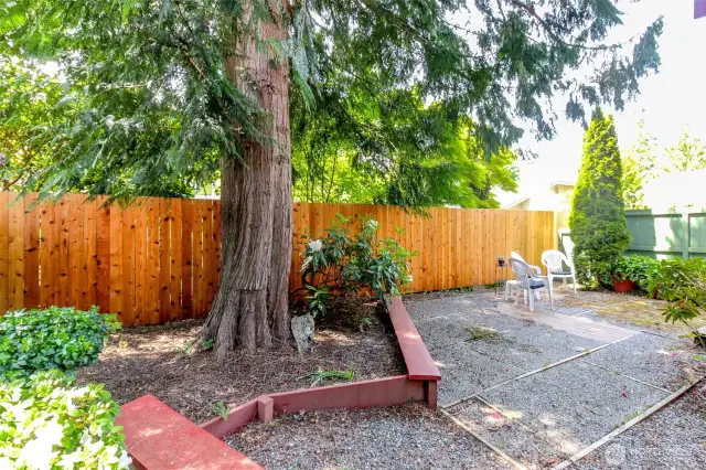 Built in bench seating in the backyard