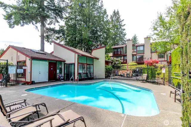 Private pool for HOA Members of Smoketree Condos