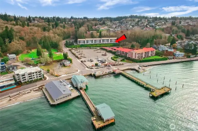 Sweeping view of the Sound and Mt Olympic!