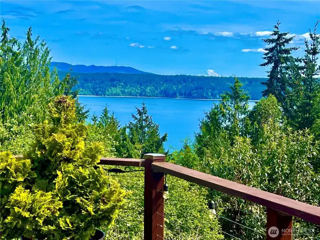 Mt Rainer from deck