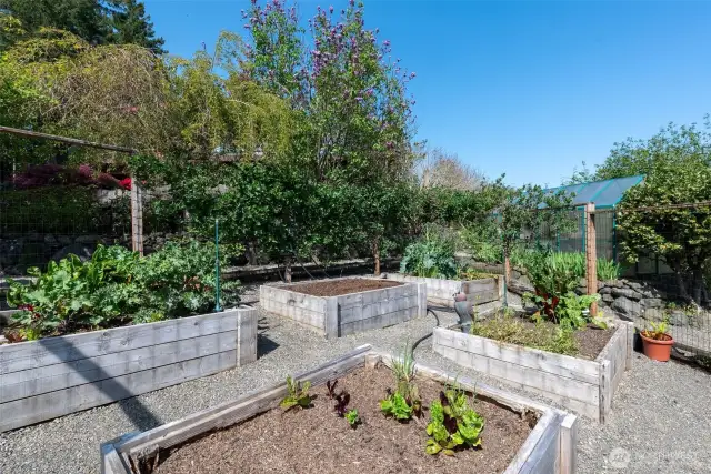 Garden beds ready for planting