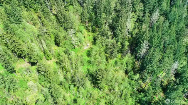 Old Camp Site