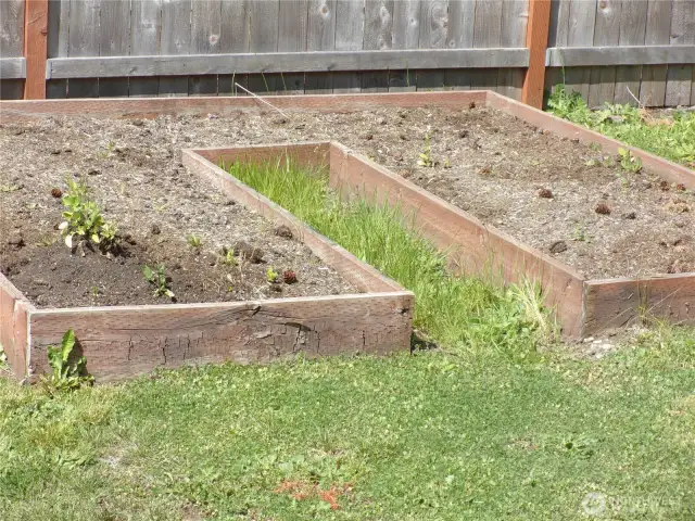 Raised beds for an easy garden.