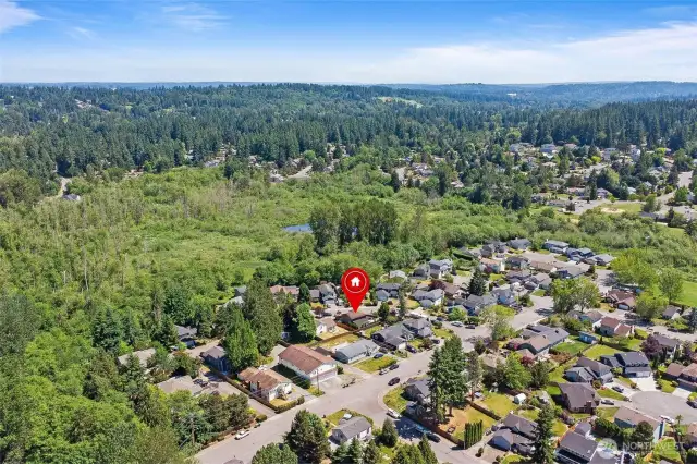 Amazing Area by Brier Park!