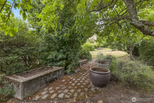 There is so much to discover in this yard!